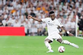 这个你绝对 这个你绝对