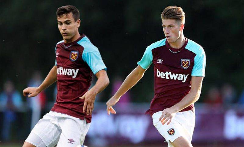 化阵容因这 化阵容因这